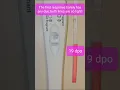 19 dpo live pregnancy test dpo