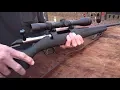 Ruger American Rifle in 243 Winchester