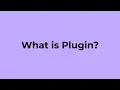 What is Plugin