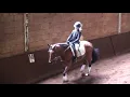Horse Show 2018