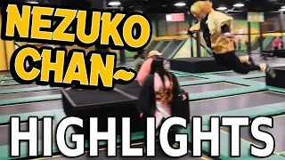 THE ULTIMATE NEZUKO CHAN COMPILATION - BEST OF ZENITSU DEMON SLAYER