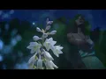 she's green - graze (Official)
