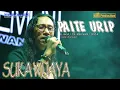Download Lagu PAITE URIP SUKA WIJAYA LAGU TERBARU 2024