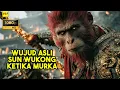 Lagu Seperti Inilah Wujud Asli Sun Wukong Ketika Dibuat Murka - ALUR CERITA FILM