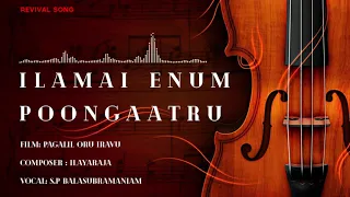 revival songs ilamai enum poongaatru pagalil oru iravu ilayaraja sp balasubramaniam