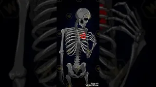 انا عفريت بظهر بليل 