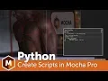 Creating Python Scripts in Mocha Pro