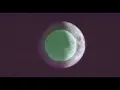 Wolfmother - New Moon Rising