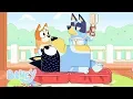 Doctor Bluey and Nurse Bingo Hospital Bluey