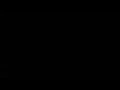 Aukai(1)