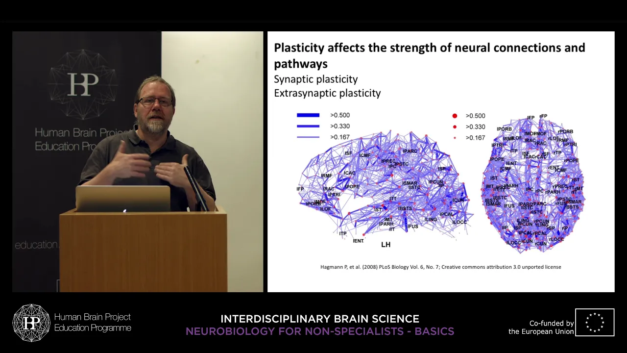 Lecture 5: Christoph Schwarzer - Neuronal networks