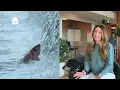 Open Farm Pet s Founder Speaks On Ingredient Quality