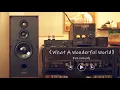 Lagu Sound Demo | What a Wonderful World by Eva Cassidy, Eternal 8.3 Bookshelf Speakers | Spotless Audio