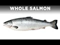 Download Lagu Een hele zalm koken