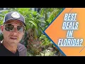 Charlotte County s Housing Market Tanked Why are People Buying Why Aren t Banks Foreclosing