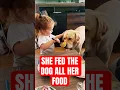 Download Lagu What Happens When You Feed Your DOG ALL Your Food?