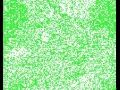 Forest Fire Simulation