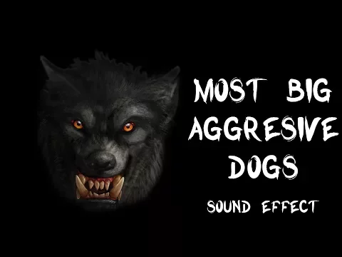 Download MP3 Most big aggressive dogs bark \u0026 growl - True recording sound effects HQ