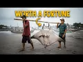 Download Lagu The World's Most EXPENSIVE Leather? - Asia’s Obsession with Stingray