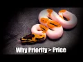 Clown Pied Heaven Can you OVERPAY for a Ball Python