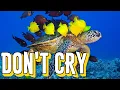 Download Lagu Music for the Soul,, DON'T CRY,, Music Sergey Grischuk
