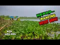 Download Lagu SEMALAMAN MANCING DI GUYUR HUJAN‼️MASIH ADA POIN BAGUS || MANCING NGANTANG