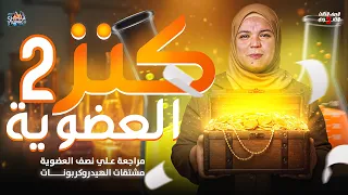 أقوى مراجعة على مشتقات الهيدروكربونات نص العضوية كاملة كيمياء عضوية 3 ثانوي 