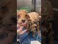 What a difference a spa day makes