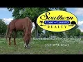 Hernando County Real Estate - Homes For Sale
