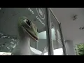 Geico closes offices across California