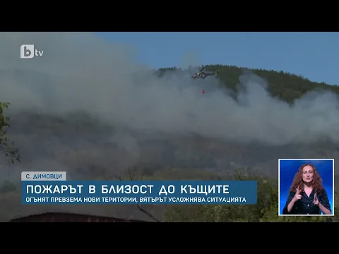 Огнена стихия край Димовци: Селото е в капан, докато пожарът поглъща хиляди декари гора