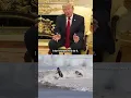 HERO LIFEGUARD TRUMP praises 16-year-old RYDER WILLIAMS