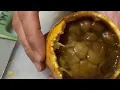Tim trying Monkey Brains