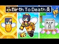 Download Lagu The BIRTH to DEATH of a Minecraft Bee!