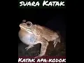 suara Katak / Suara Kodok
