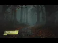 Forest Rain Sanctuary — Autumn Leaves, Steady Rain & Soft Thunder | RELAX | STUDY | SLEEP | 10 Hours