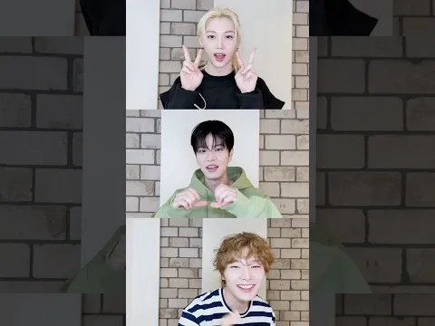 Gambatte (Felix, Seungmin, I.N)