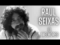 Download Lagu RAUL SEIXAS   TOP 10 MELHORES MÚSICAS