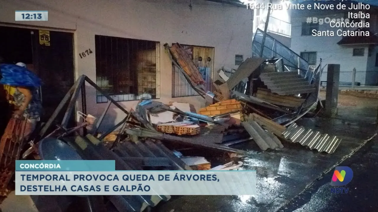 Temporal provoca queda de árvores, destelha casas e galpão em Concórdia