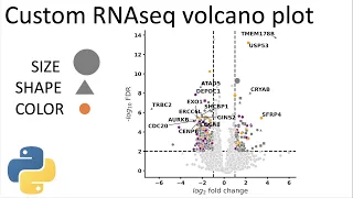 Beautiful and customizable RNAseq volcano plots