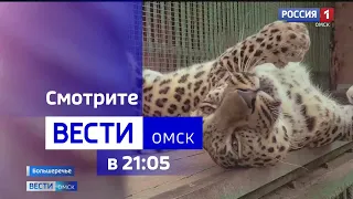 «Вести Омск», итоги дня от 23 августа 2023 года