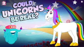 Are Unicorns Real One Horn Horse Mystery Did Unicorns Ever Exist The Dr Binocs Show