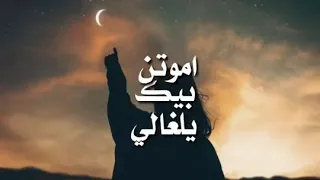 عشك موت     اموتن بيك يالغالي   بدون حقوق  دندنها