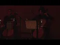 Max Richter, Louisa Fuller, Max Ruisi - Non-Eternal Pt. 3 (Official Music Video)