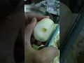 How to peel off Tinda