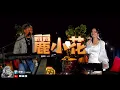 鳳飛飛連串(流水年華/巧合/好好愛我/相思爬上心底)-麗小花