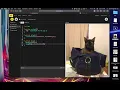 Images in p5js