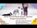 Matlab Image Processing Project - Hyperspectral Image Classification