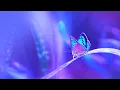 THE BEST Study Music Calming Relaxing Music Boost Focus Enhance Learning and Concentration