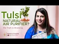 Lagu Tulsi: The Most Powerful Healing Plant on Earth | Monica Singhal | Hari Om Smiles